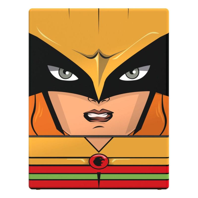 Squaroes - Squaroe DC Justice League™ JL012 - Hawkgirl™ 7