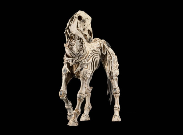 Mythic Legions: Reinforcement 3 Action Figure Skeleton Steed Legion Builder 3