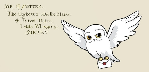 Harry Potter Premium Mug Hedwig 444 ml 1