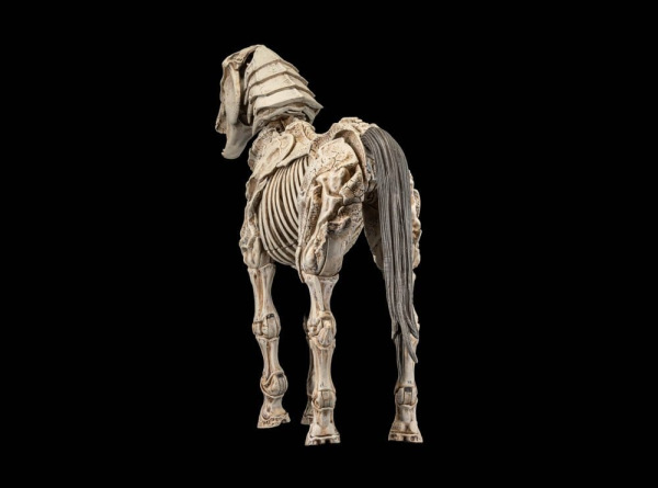 Mythic Legions: Reinforcement 3 Action Figure Skeleton Steed Legion Builder 2