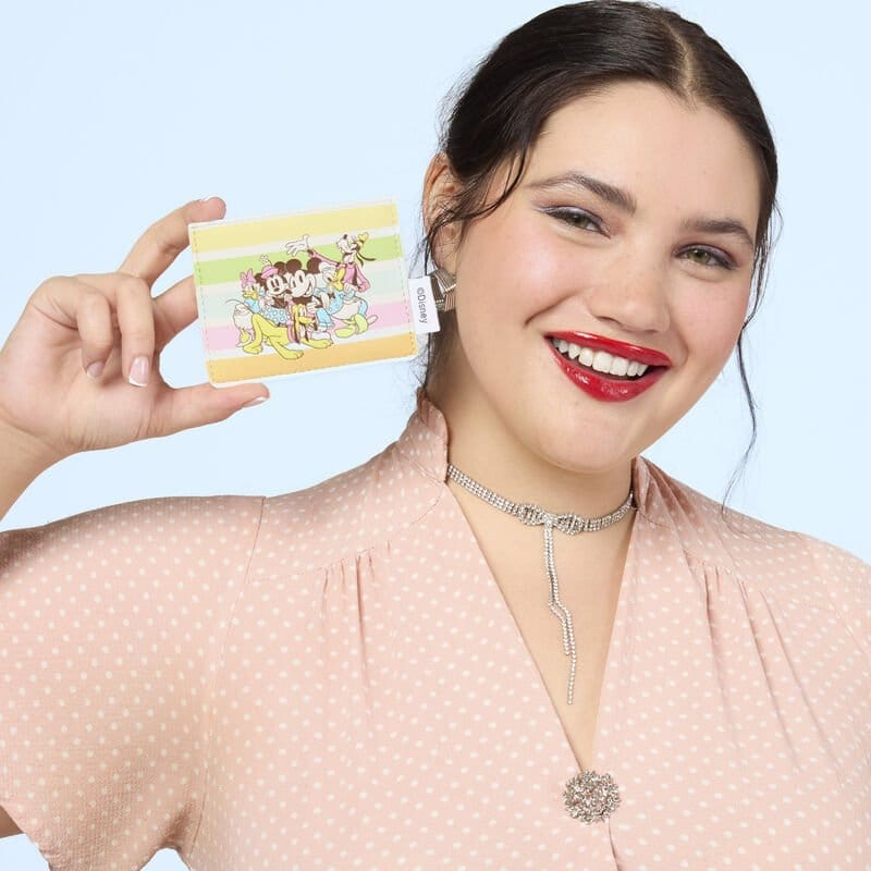 Disney by Loungefly Cardholder Mickey and Friends Rainbow Stripes 1