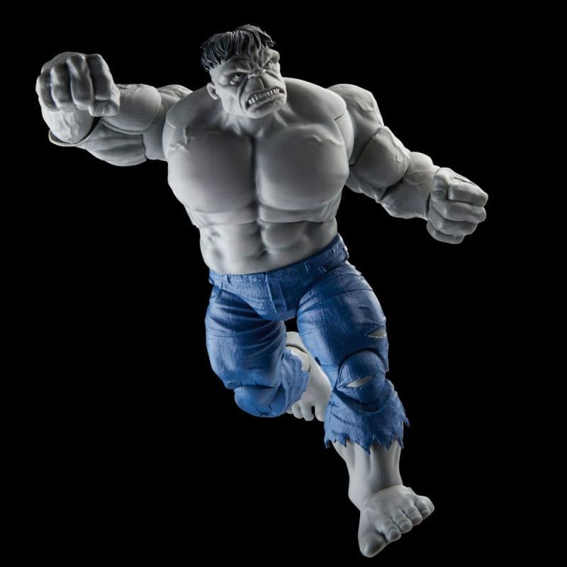 Avengers: Beyond Earth's Mightiest Marvel Legends Action Figures Gray Hulk & Dr. Bruce Bann
