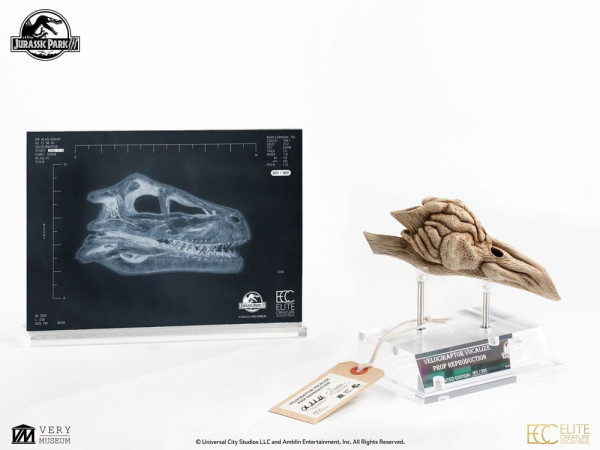 Jurassic Park III Prop Replica 1/1 Velociraptor Resonance Chamber 18 cm 9