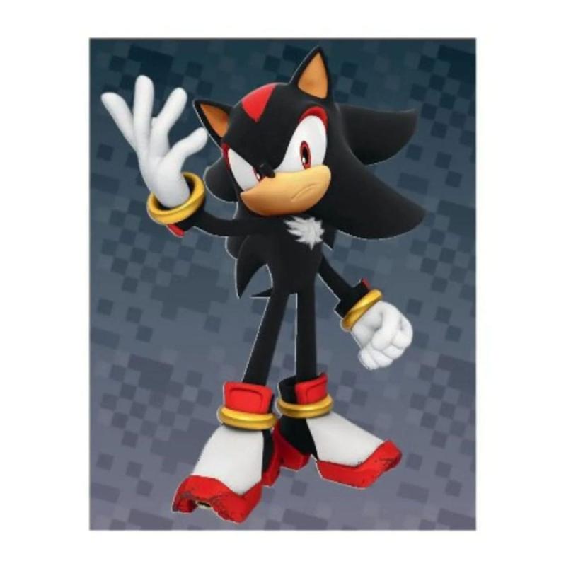 Sonic the Hedgehog Sticker Collection Display (36) 4