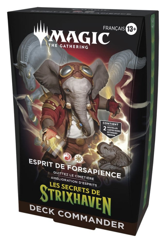 Magic the Gathering Les secrets de Strixhaven Commander Decks Case (5) french 12