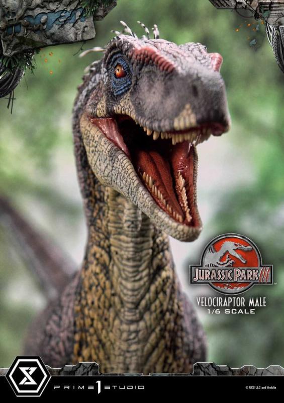 Jurassic Park III Legacy Museum Collection Statue 1/6 Velociraptor Male Bonus Version 40 cm