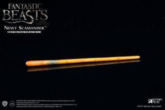 Fantastic Beasts: Newt Scamander 1/6 Action Figure - Star Ace Toys